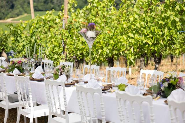 Table de réception dressée en blanc sous pergola végétalisée, événement privatisé Hôtel Restaurant Haut-Rhin